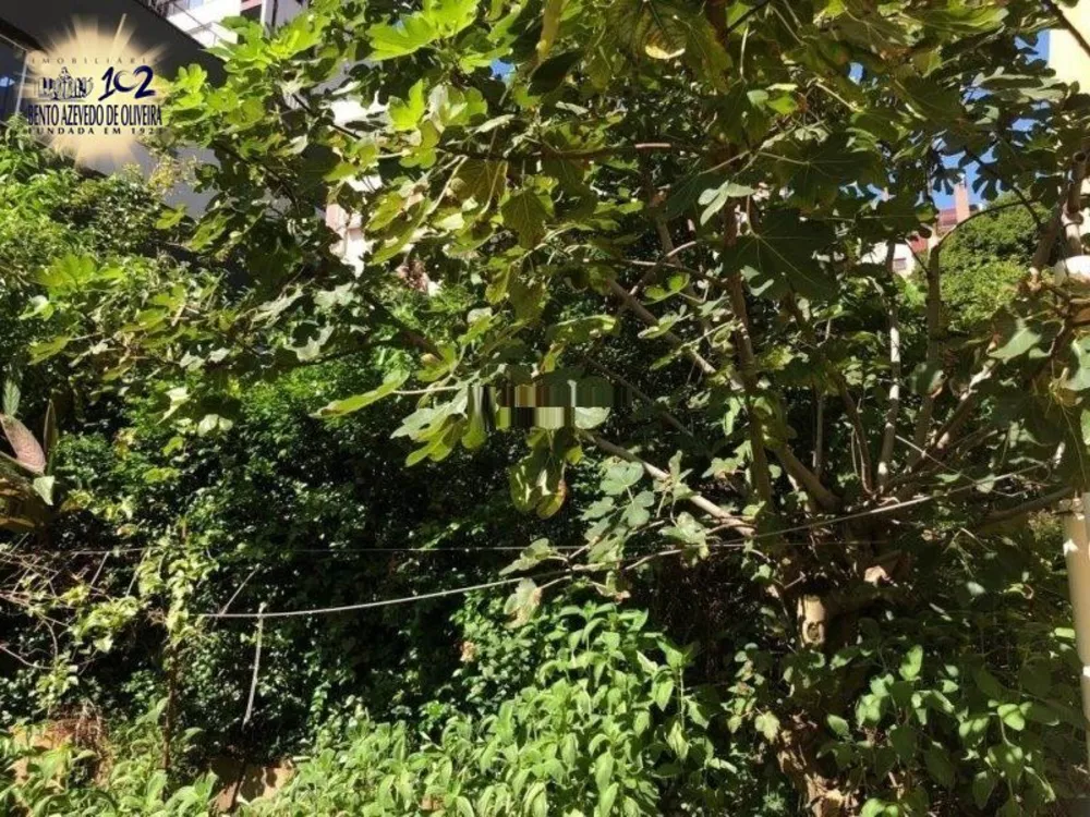 Terreno, 561 m² - Foto 2