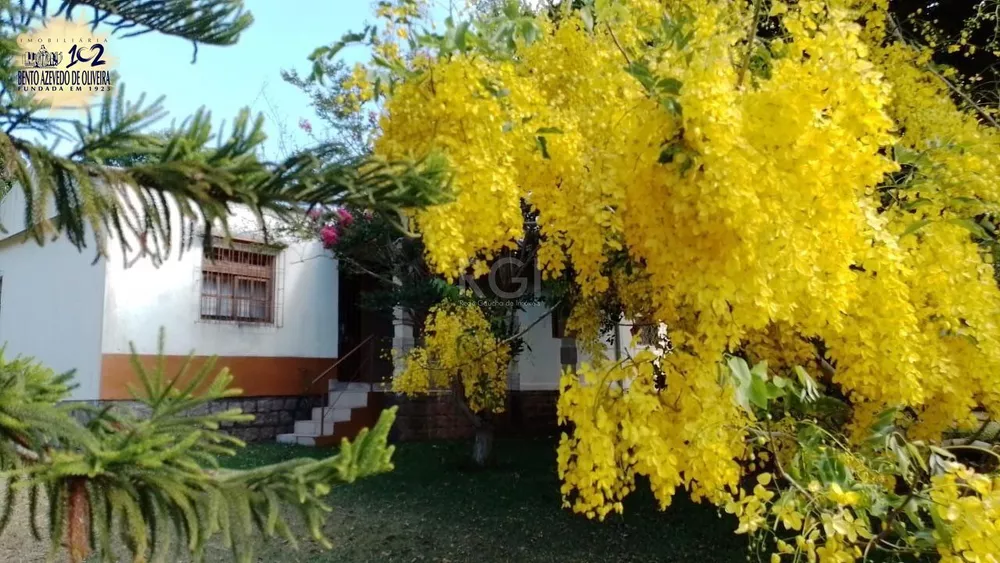 Chácara, 3 quartos, 3960 m² - Foto 4