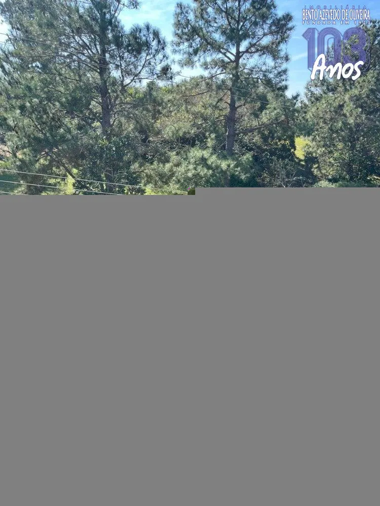 Casa, 4 quartos, 280 m² - Foto 6