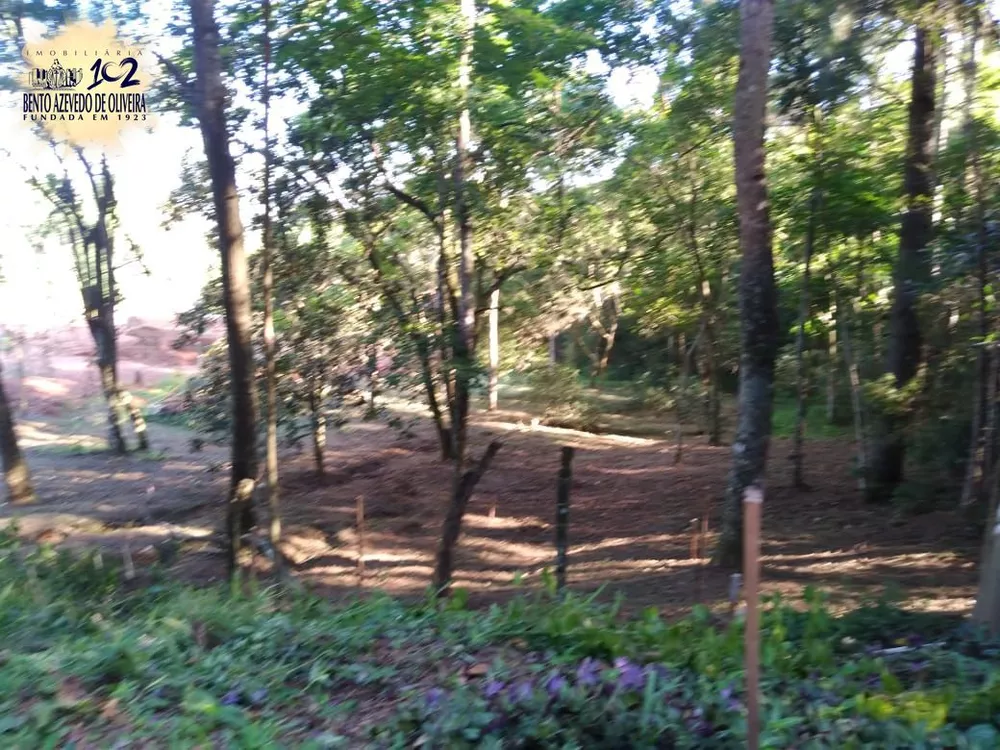 Terreno, 3800 m² - Foto 4