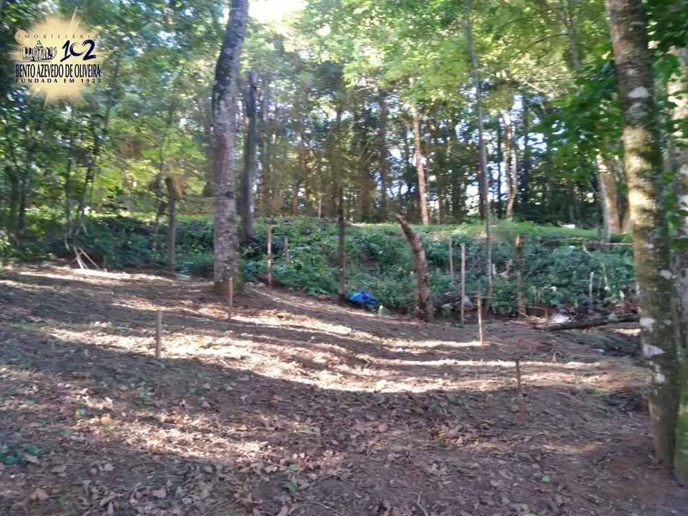 Terreno, 3800 m² - Foto 3