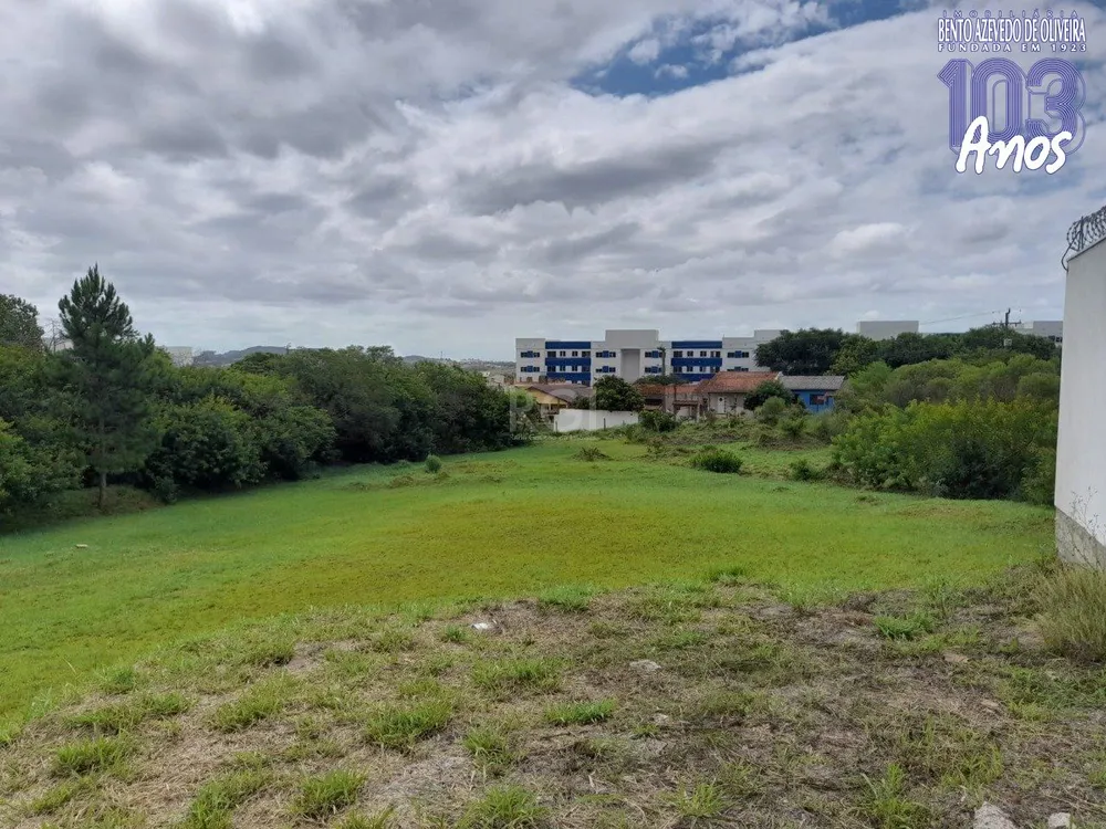 Terreno, 290 m² - Foto 3
