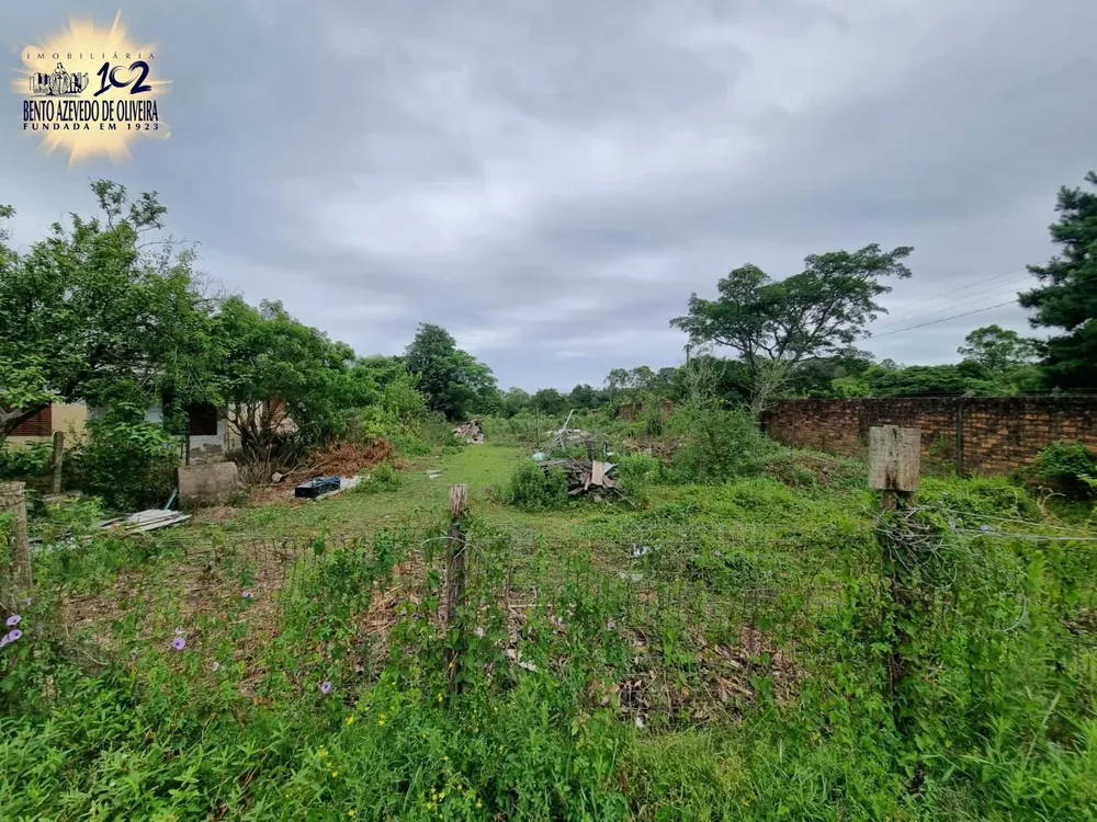 Terreno, 4500 m² - Foto 4
