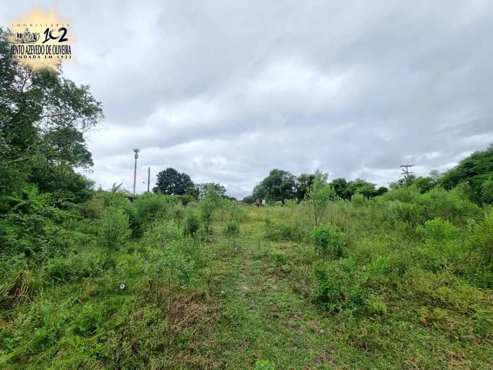 Terreno, 4500 m² - Foto 7