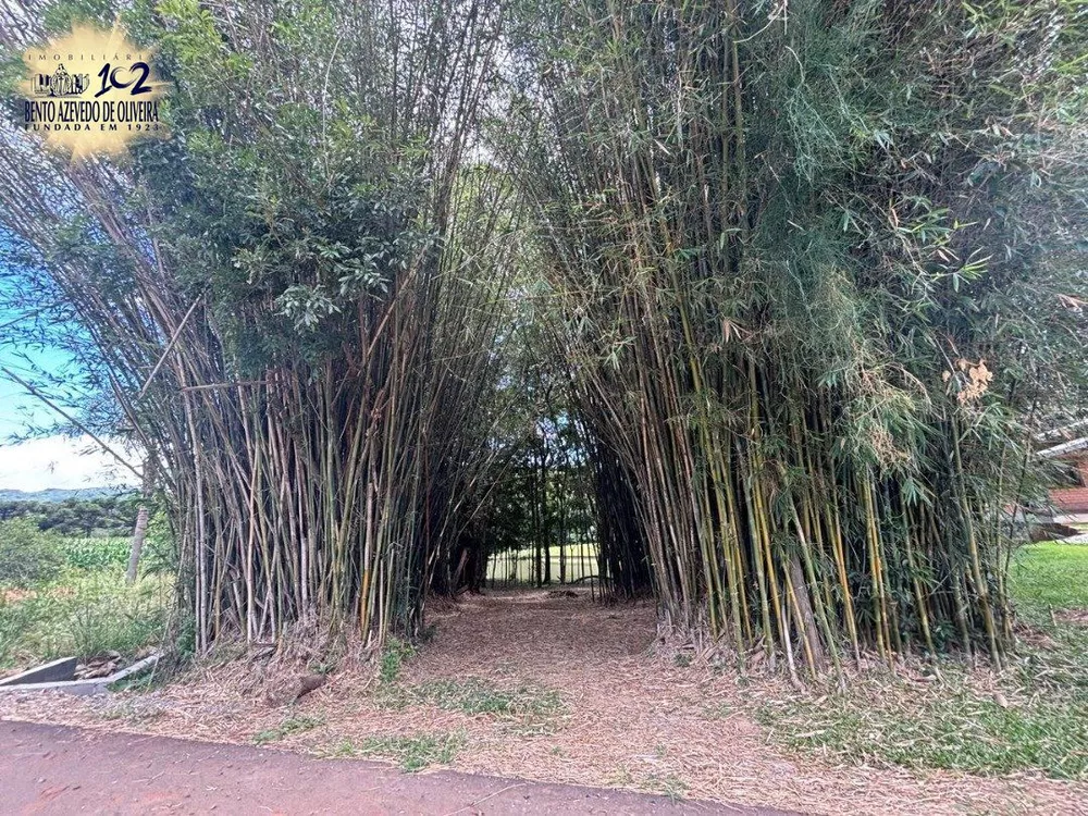Chácara, 6 quartos, 5000 m² - Foto 6