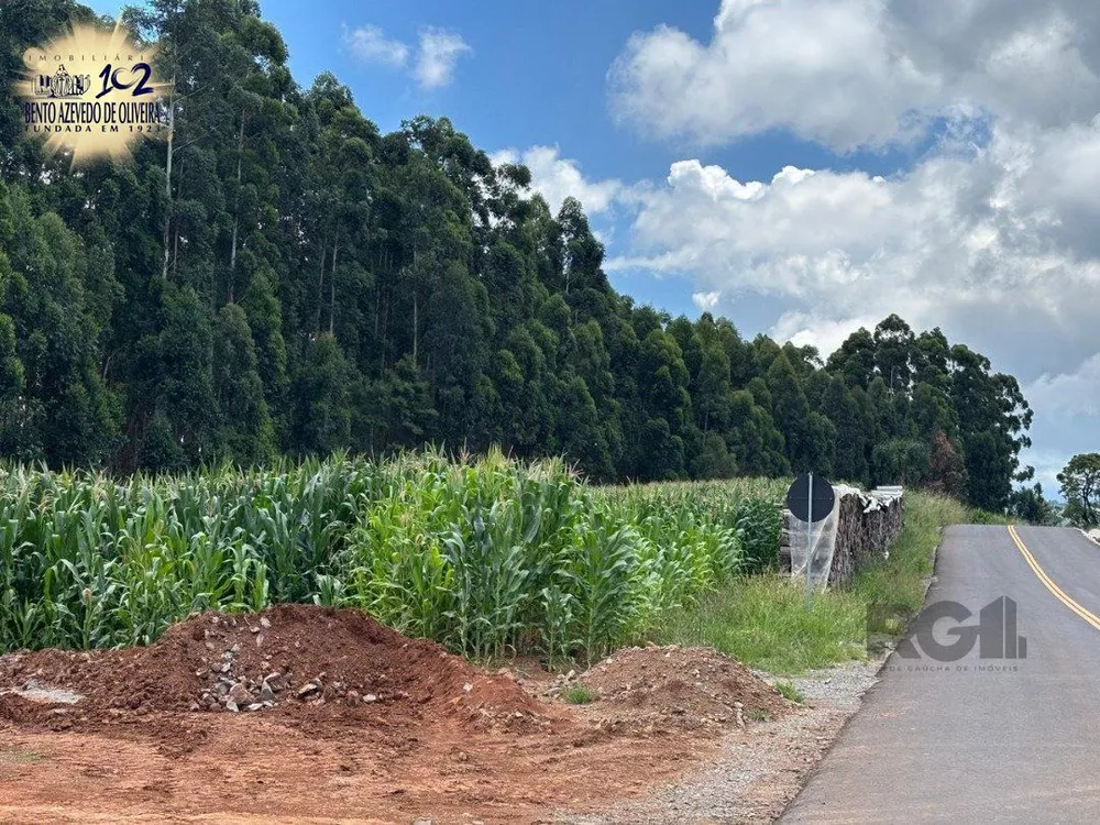 Chácara, 6 quartos, 5000 m² - Foto 4