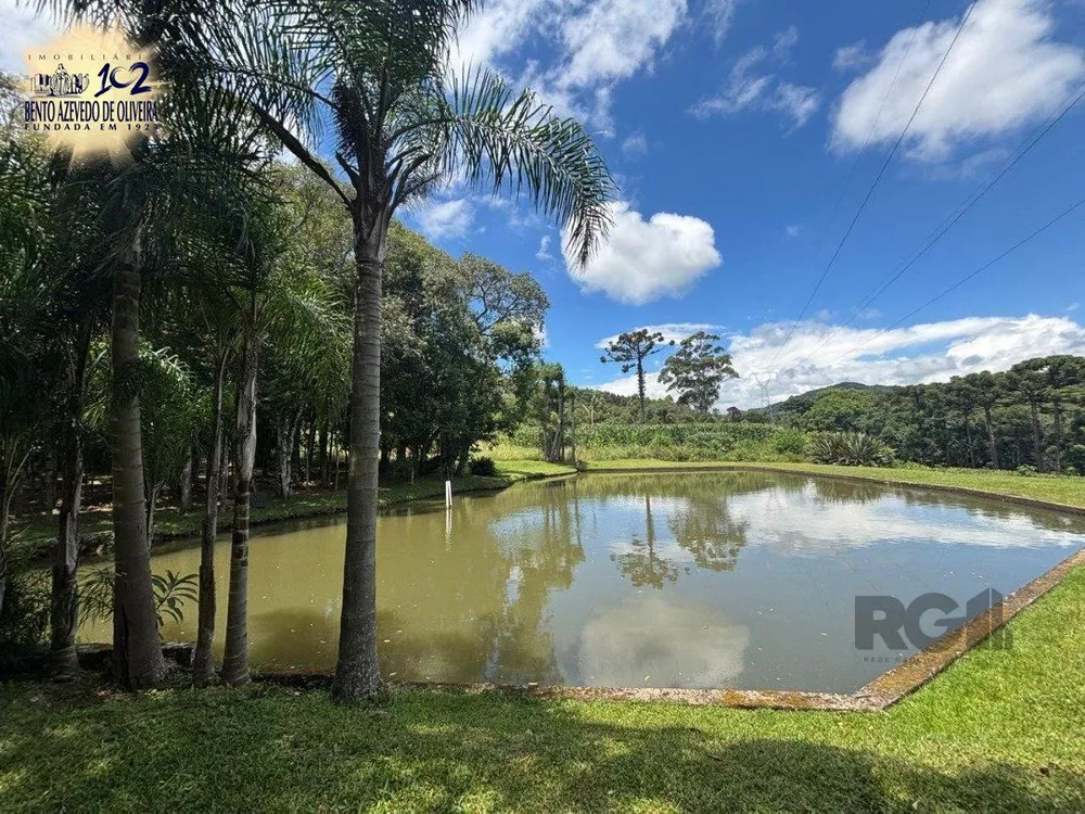 Chácara, 6 quartos, 5000 m² - Foto 7