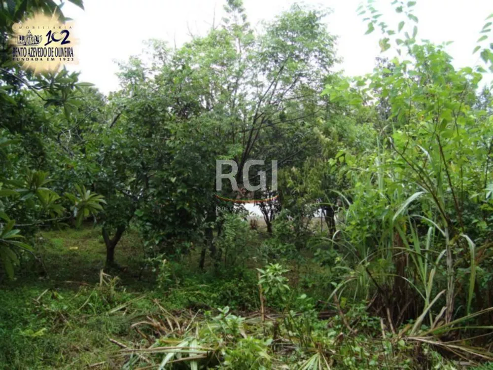 Terreno, 850 m² - Foto 6