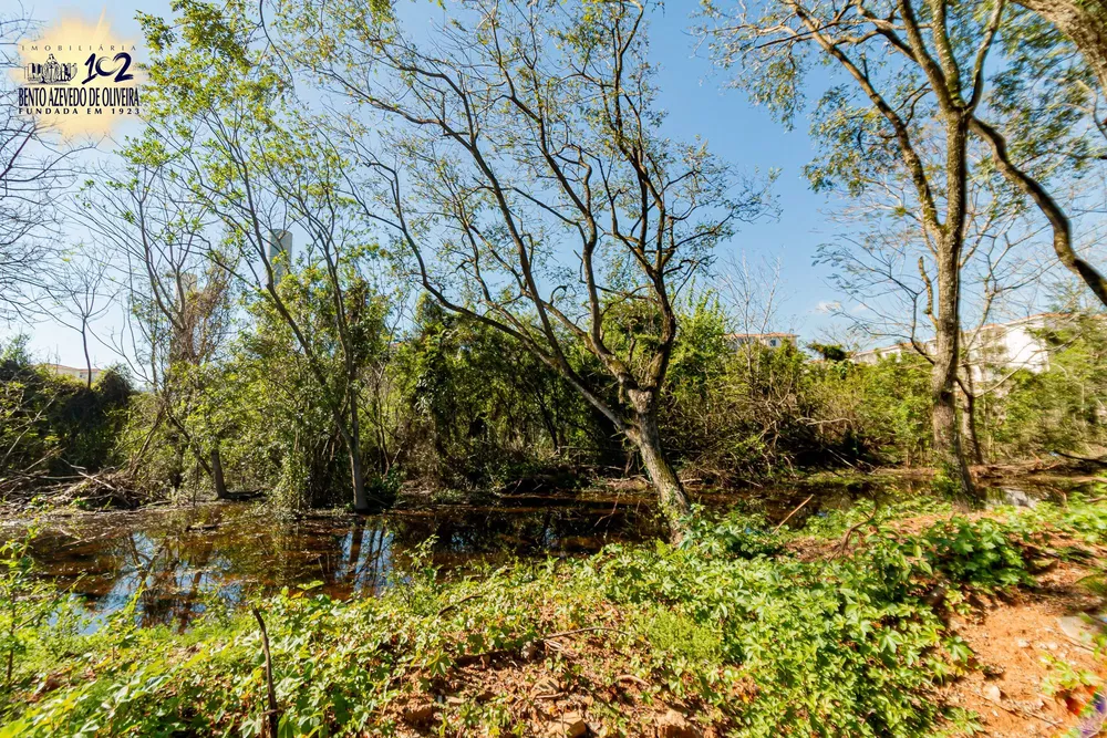 Terreno, 6150 m² - Foto 6