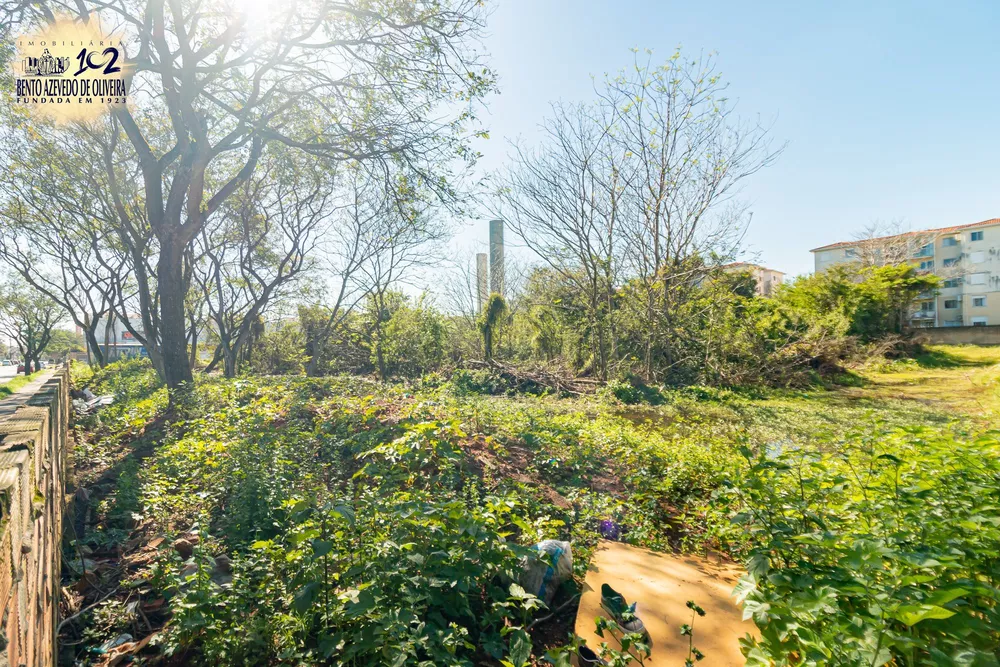 Terreno, 6150 m² - Foto 5