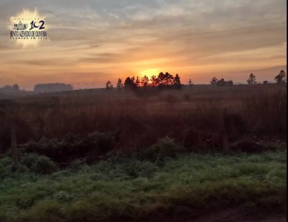 Terreno, 40 hectares - Foto 2