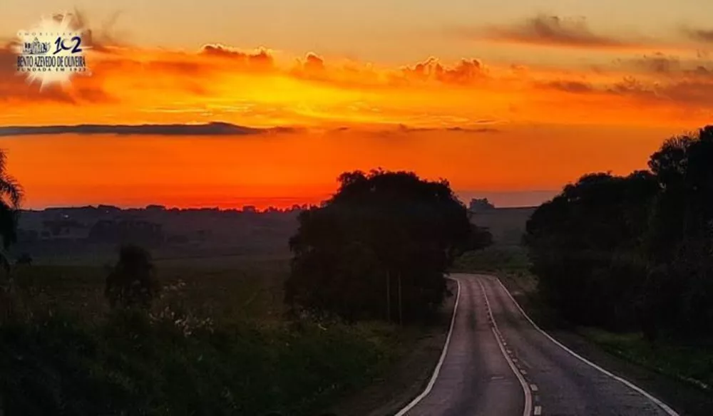 Terreno, 40 hectares - Foto 4