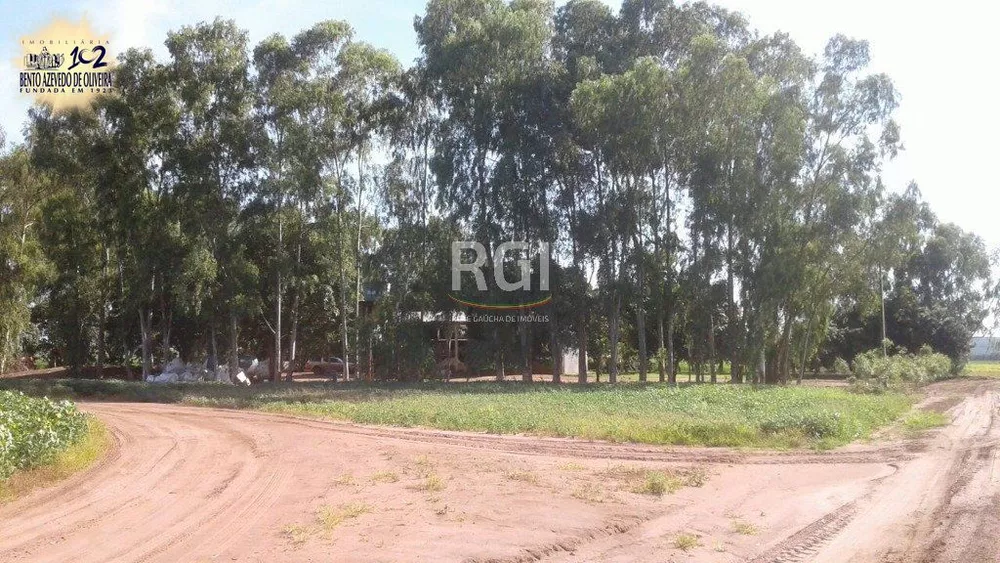 Terreno, 1050 hectares - Foto 7