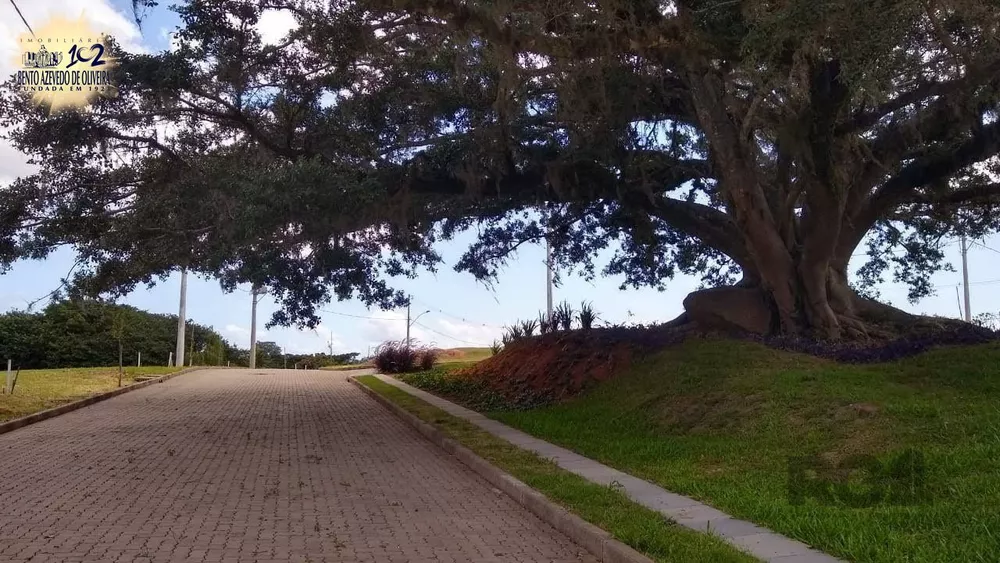 Terreno, 245 m² - Foto 1