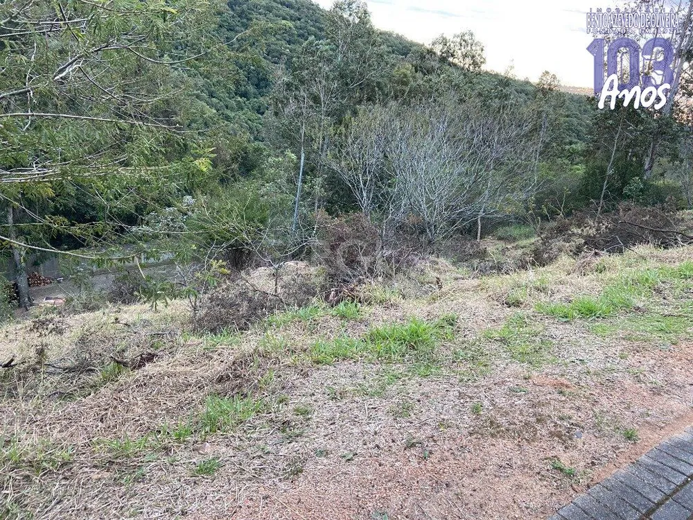 Terreno, 2313 m² - Foto 2