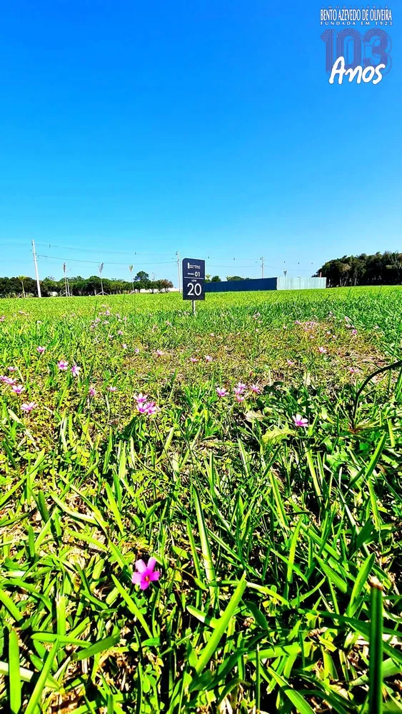 Terreno, 350 m² - Foto 7