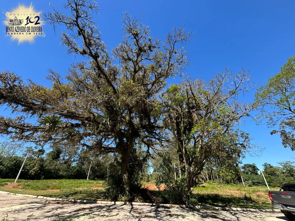 Terreno, 458 m² - Foto 7