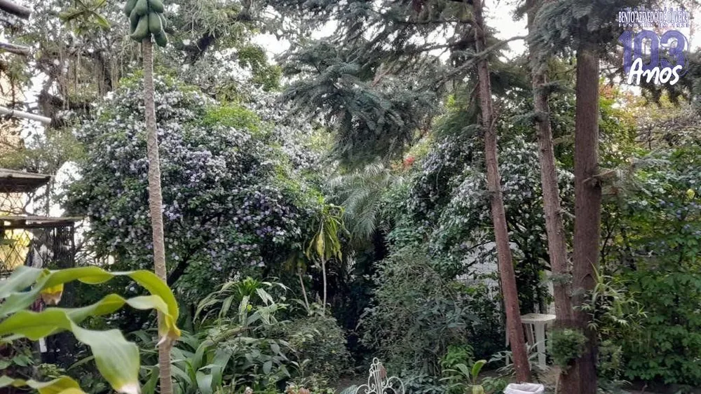 Casa, 6 quartos, 570 m² - Foto 5