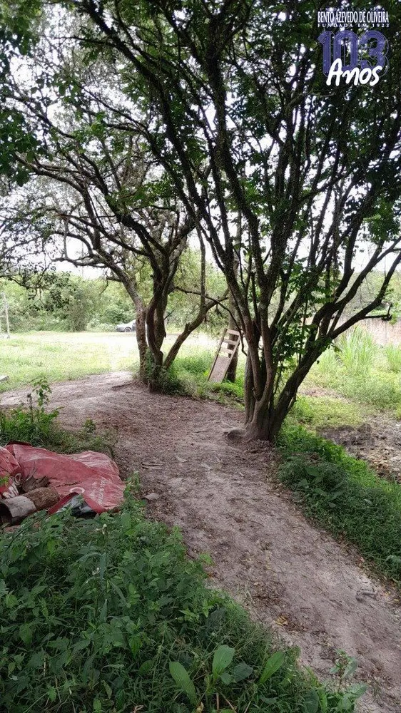 Prédio Inteiro, 231 m² - Foto 2
