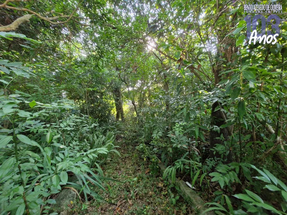 Terreno, 1463 m² - Foto 4