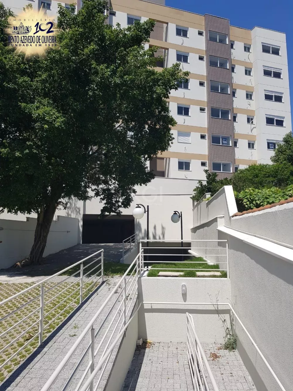 Loja-Salão, 246 m² - Foto 3