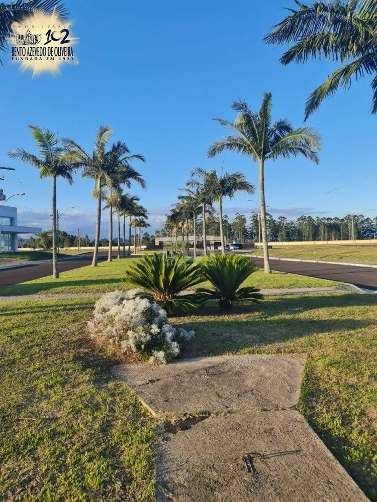 Terreno, 605 m² - Foto 4