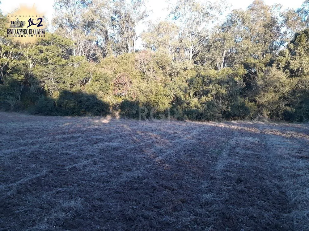 Sítio, 1 quarto, 1 hectares - Foto 4