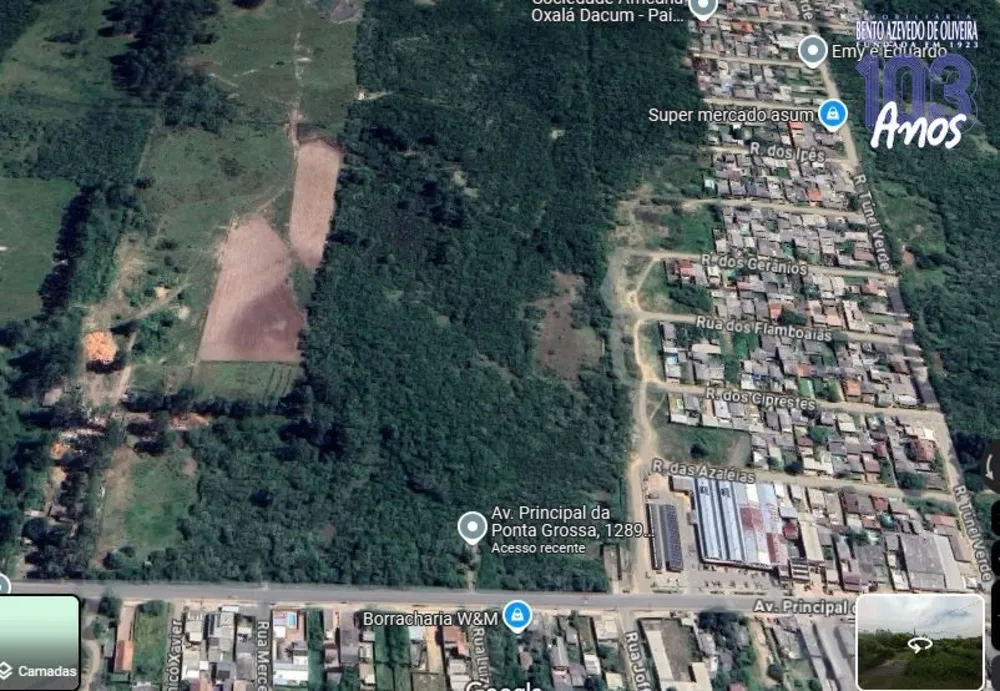 Terreno, 2 hectares - Foto 1