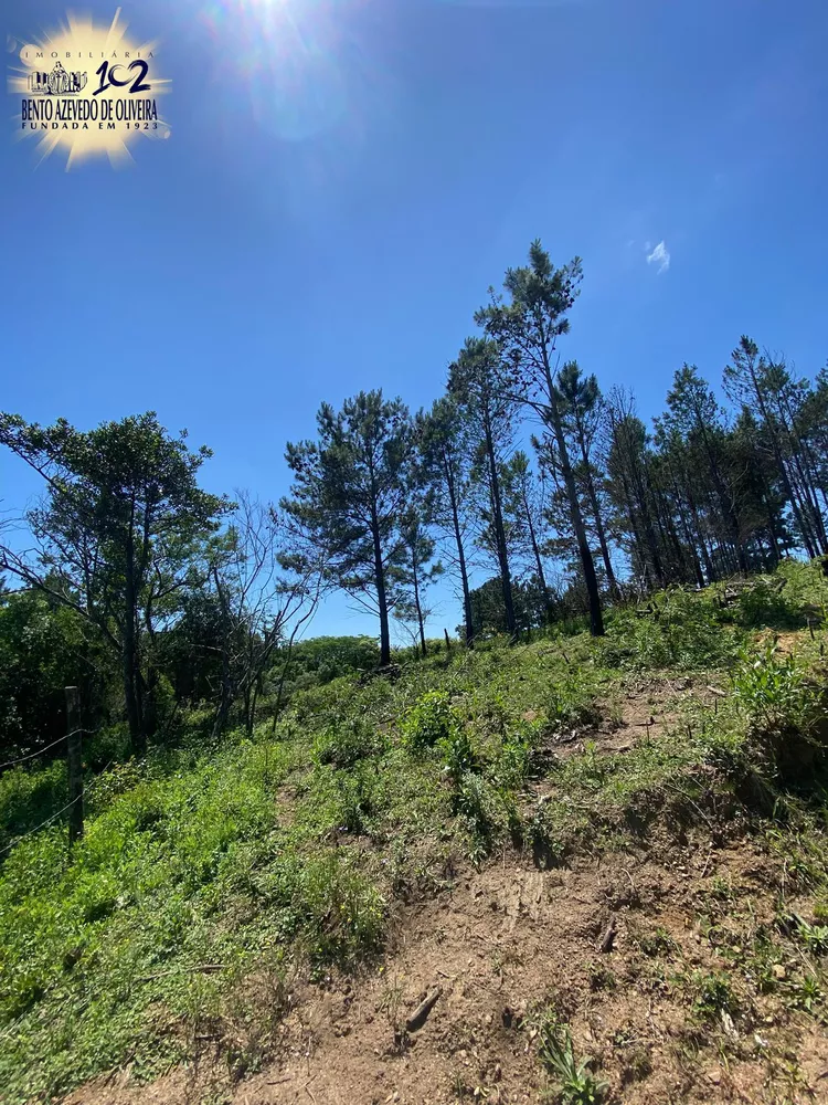 Chácara, 400 m² - Foto 6