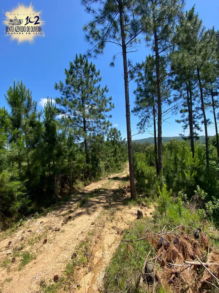 Chácara, 400 m² - Foto 5