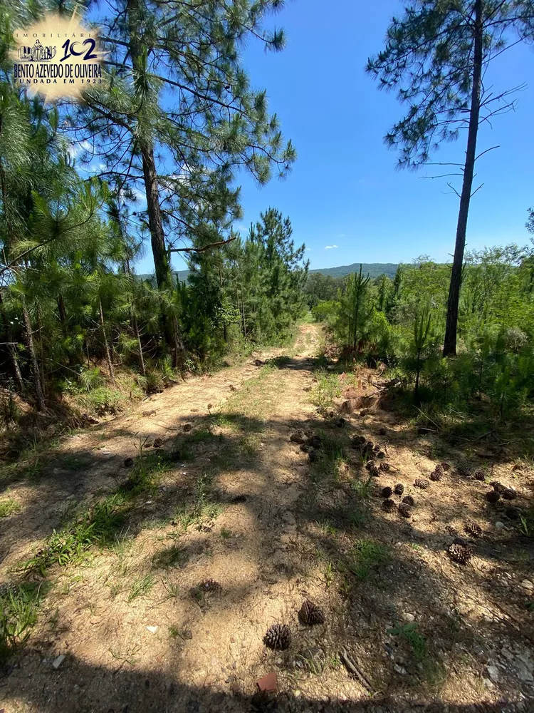 Chácara, 400 m² - Foto 4