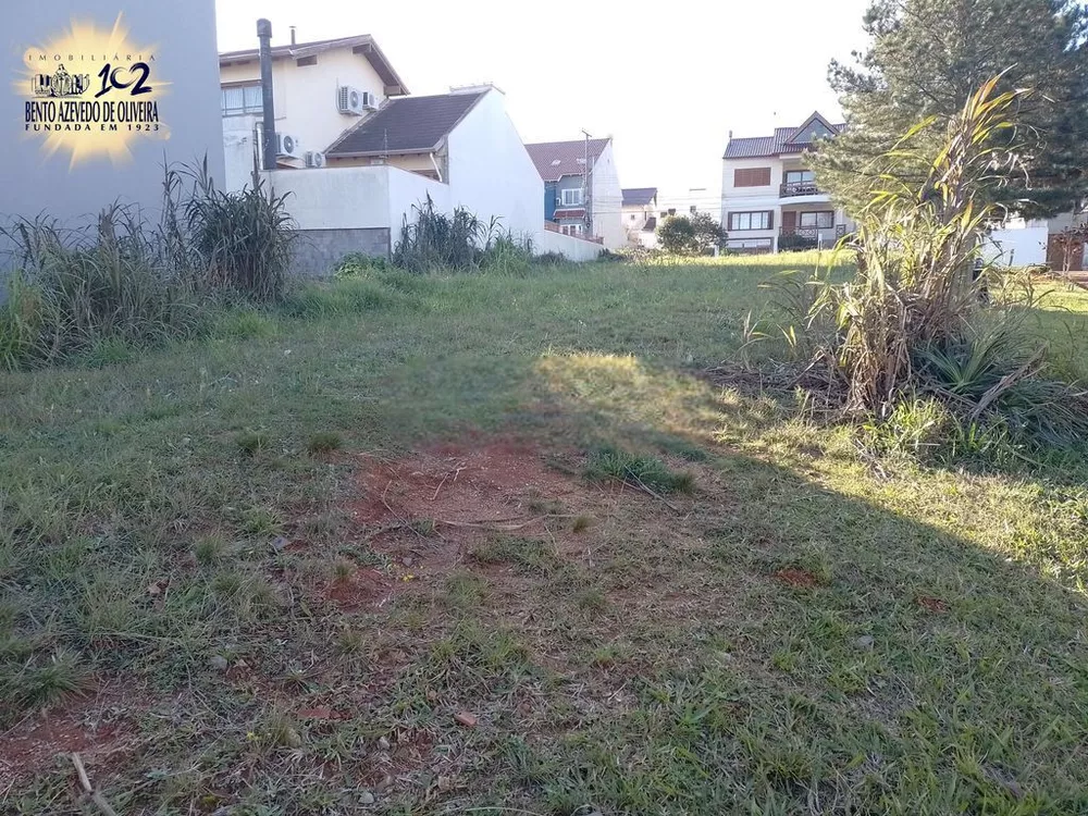Terreno, 307 m² - Foto 3