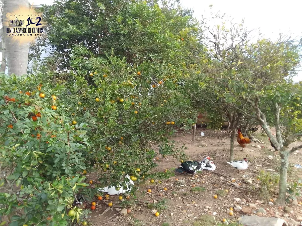Chácara, 5 quartos, 2 hectares - Foto 2