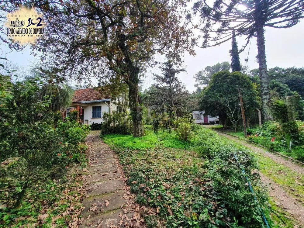 Terreno, 5332 m² - Foto 4