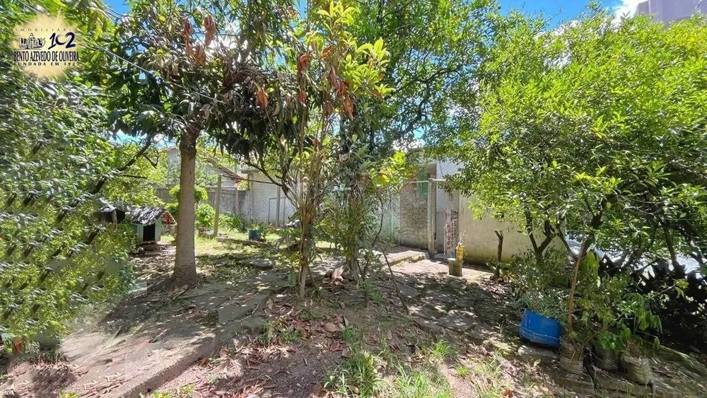 Casa, 4 quartos, 300 m² - Foto 4