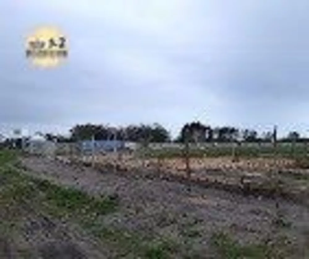 Terreno, 300 m² - Foto 4