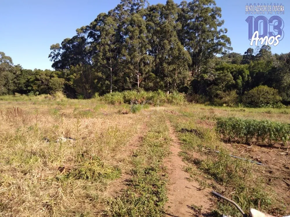 Terreno, 4 hectares - Foto 1