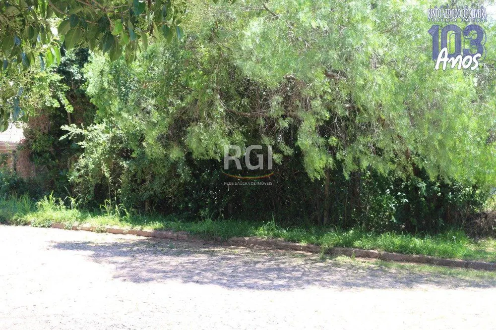 Terreno, 524 m² - Foto 6
