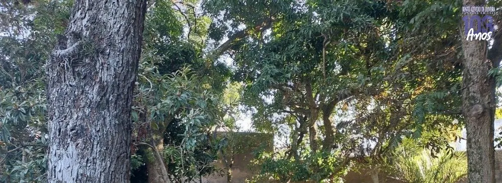 Casa, 3 quartos, 464 m² - Foto 2