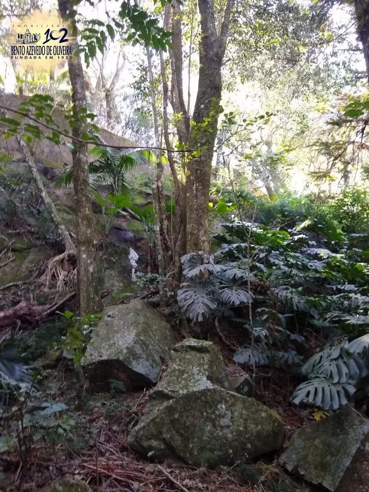 Terreno, 3032 m² - Foto 4