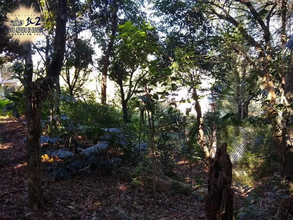 Terreno, 3032 m² - Foto 6