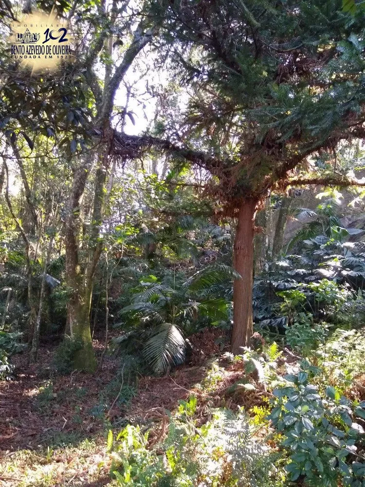 Terreno, 3032 m² - Foto 8