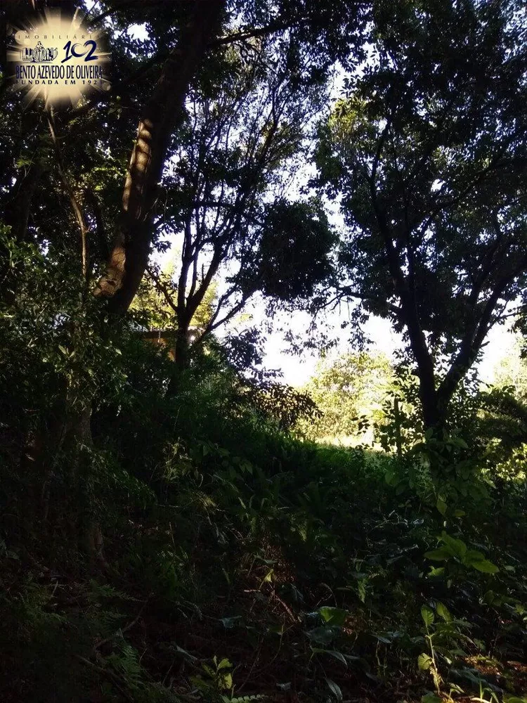 Terreno, 3032 m² - Foto 7