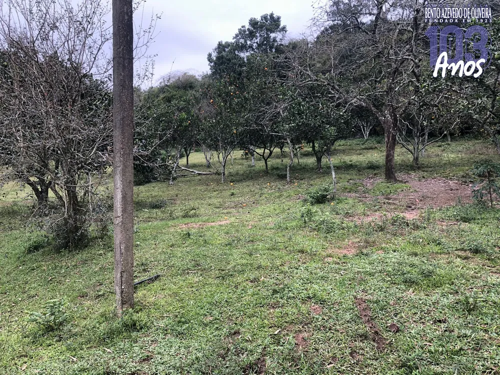 Sítio, 1 quarto, 12 hectares - Foto 1