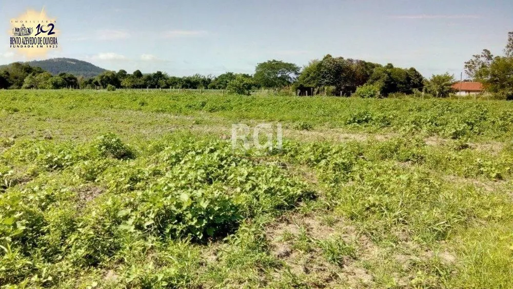 Terreno, 2 hectares - Foto 3
