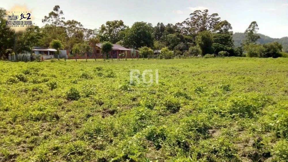 Terreno, 2 hectares - Foto 5