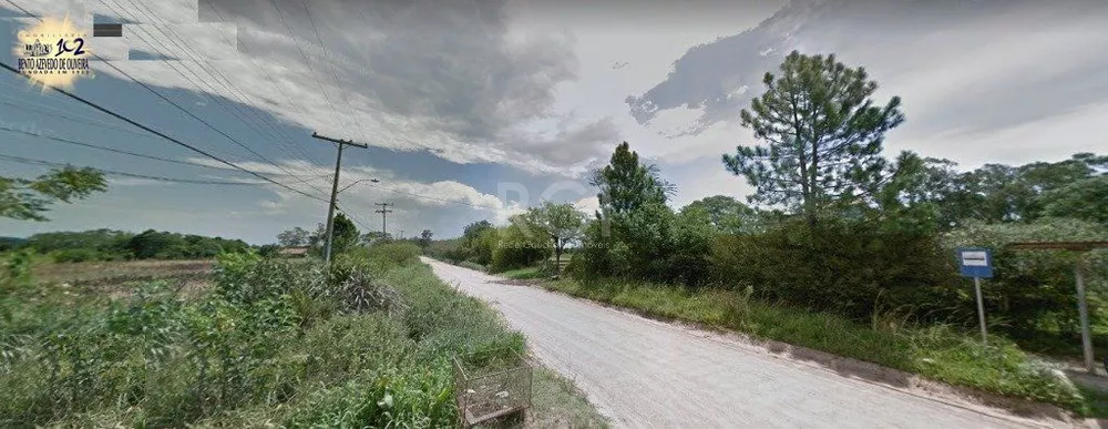 Terreno, 2 hectares - Foto 7