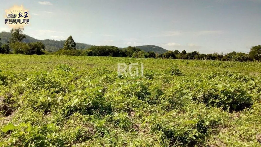 Terreno, 2 hectares - Foto 6