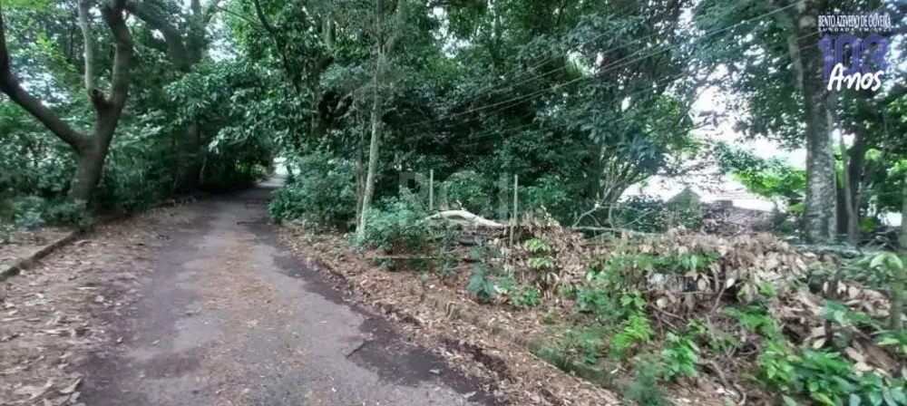 Terreno, 5000 m² - Foto 3