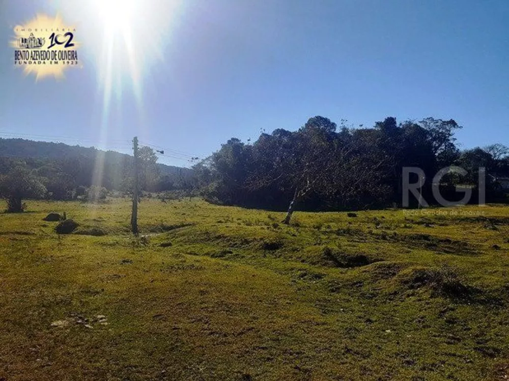 Terreno, 71 hectares - Foto 4